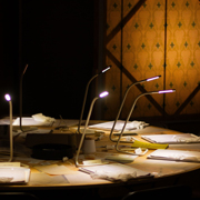 Green Herrings in a Yellow Room: A Counter Production of The Yellow Wallpaper Thumbnail Image